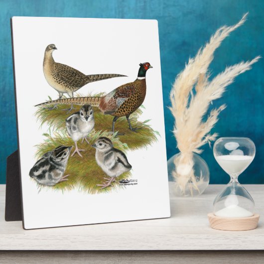 リンネックキジ科 フォトプラーク (側面)