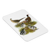 リンネックキジ科 マグネット (右側)