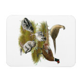 リンネックキジ科 マグネット (横)