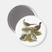 リンネックキジ科 マグネット (正面/裏面)