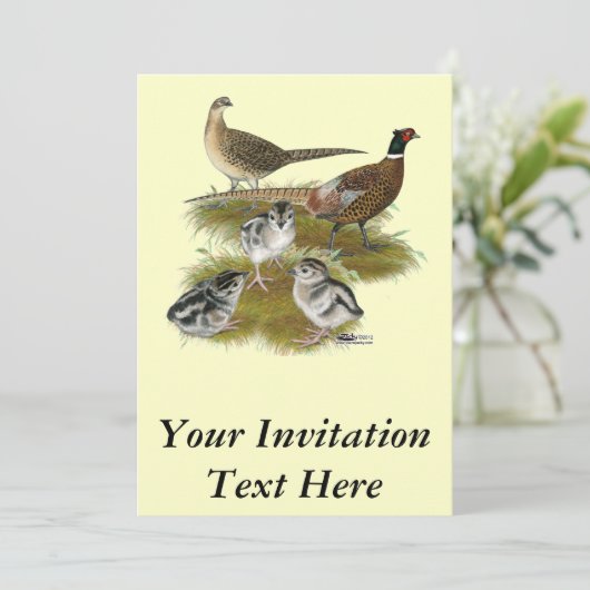 リンネックキジ科 招待状 (スタンド正面)