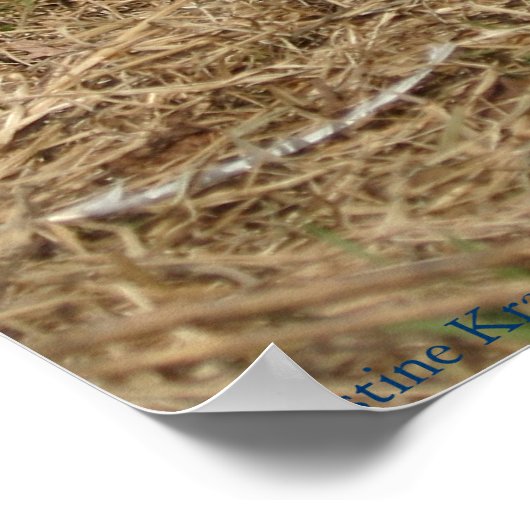 リンネックキジ ポスター (角)