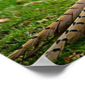 リンネックキジ ポスター (角)