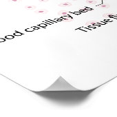 リンパ液交換標識図ポスター ポスター (角)