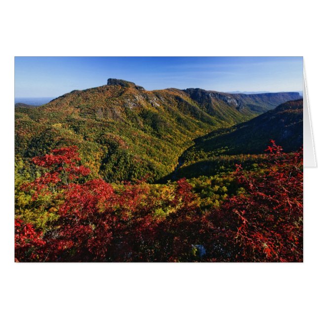 リンビル·ゴージの秋の景色はよく (正面横)