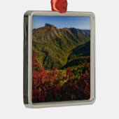 リンビル·ゴージの秋の景色はよく メタルオーナメント (右)