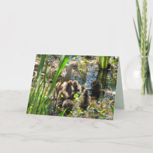 リンプキンファミリー – 母と雛 – 母の日 カード