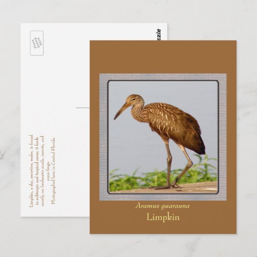 リンプキン ポストカード (正面/裏面)