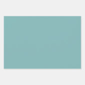 リンペットシェルブルーグリーン春シーズンカ無地のラー ラッピングペーパーシート (正面3)