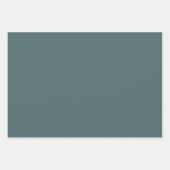 リンペットシェルブルーグリーン春シーズンカ無地のラー ラッピングペーパーシート (正面2)