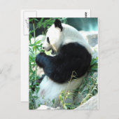 リンホイ ポストカード (正面/裏面)