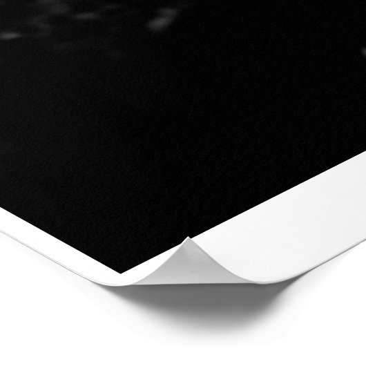 リンボー ポスター (角)