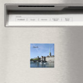 リンマットリバーインチューリヒ マグネット (インサイチュ (食洗機))