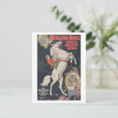 リンリングブラザーズ。/マダカステッロ ポストカード (スタンド正面)