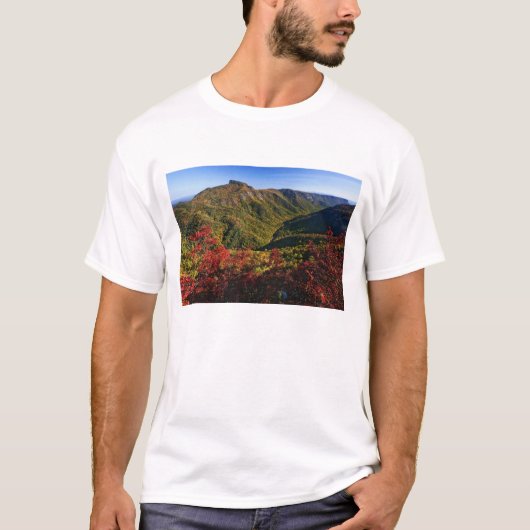 リンヴィル・ゴージの秋景色 人呼んで Tシャツ (正面)