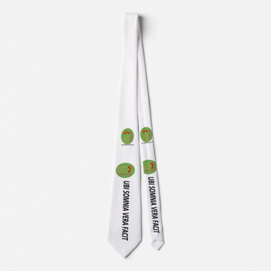 リン王室のギンのネクタイ ネクタイ (正面)