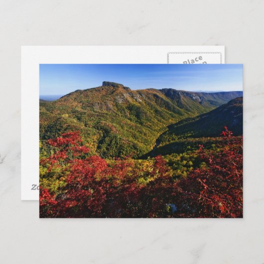 リンVILLE峡谷の秋の景色、しばしばノースカロライナ州のグランドキャニオンと呼ばれる ポストカード (正面/裏面)
