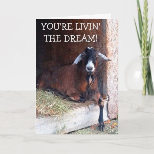リヴィンザドリームヤギおもしろい誕生日 カード (正面)