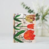 リヴレスデフルーア葉書 ポストカード (スタンド正面)