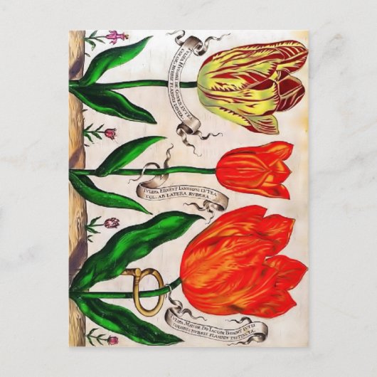 リヴレスデフルーア葉書 ポストカード (正面)