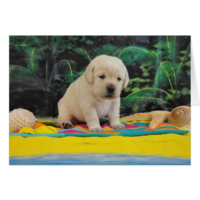 リーアン週2 (正面横)