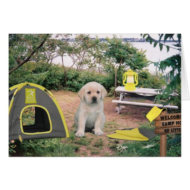 リーアン週6 (正面横)