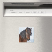 リーガルアイスランドホースのヘッドショット マグネット (インサイチュ (食洗機))