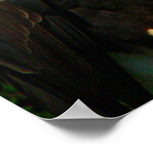 リーガルアメリカンはげ鷲 ポスター (角)