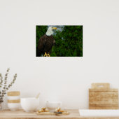 リーガルアメリカンはげ鷲 ポスター (キッチン)