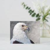 リーガルアメリカンバルドイーグルポートレート ポストカード (スタンド正面)