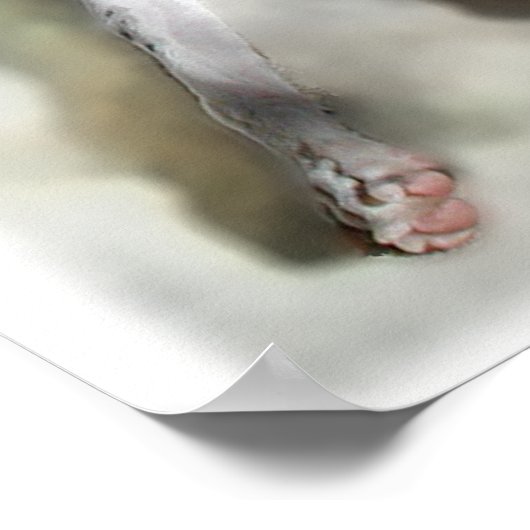 リーガルイギー ポスター (角)