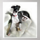 リーガルイギー ポスター (正面)