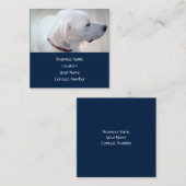 リーガルキュート白ラブラドールミックスドッグプロフィールブルー スクエア名刺 (正面/裏面)