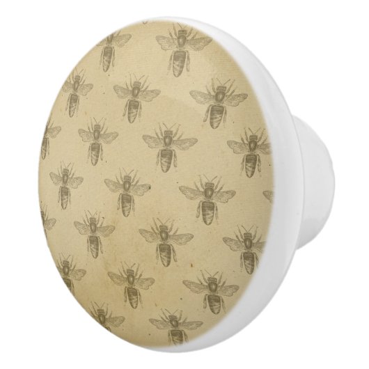 リーガルクイーンビーオンヴィンテージ紙セラミックプル セラミックノブ (右)