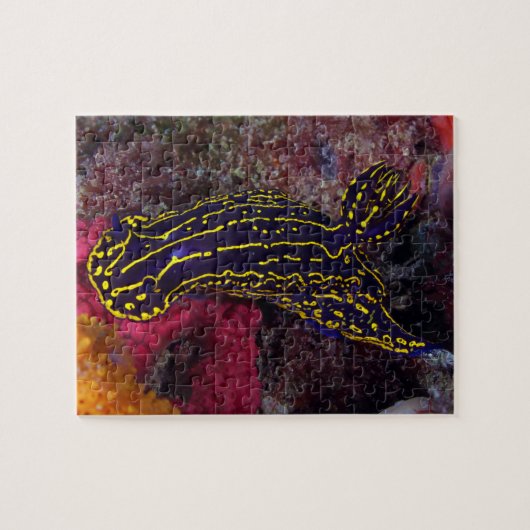 リーガルシージョドームズヌディブランチフェリマーレピクタ ジグソーパズル (横)