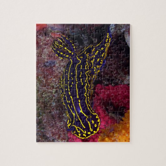 リーガルシージョドームズヌディブランチフェリマーレピクタ ジグソーパズル (縦)