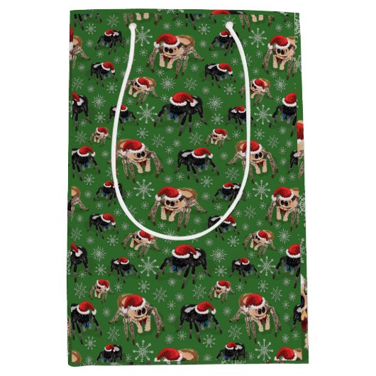 リーガルジャンピングスパイダーピディプスレジウスホリデイモス ミディアムペーパーバッグ (正面)