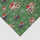 リーガルジャンピングスパイダーフィディポスレジウスホリデーモス 薄葉紙 (詳細)