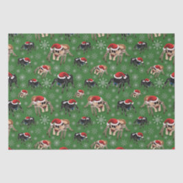 リーガルジャンピングスパイダーフィディポスレジウスホリデーモス 薄葉紙