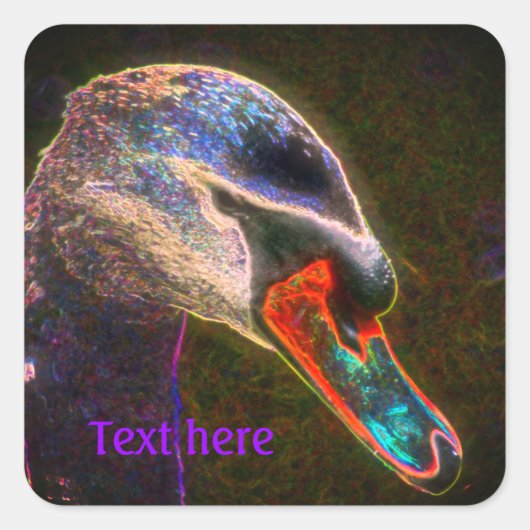 リーガルスワン抽象芸術自然 スクエアシール (正面)