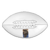 リーガルデイブアメリカンフットボール アメリカンフットボール (正面)