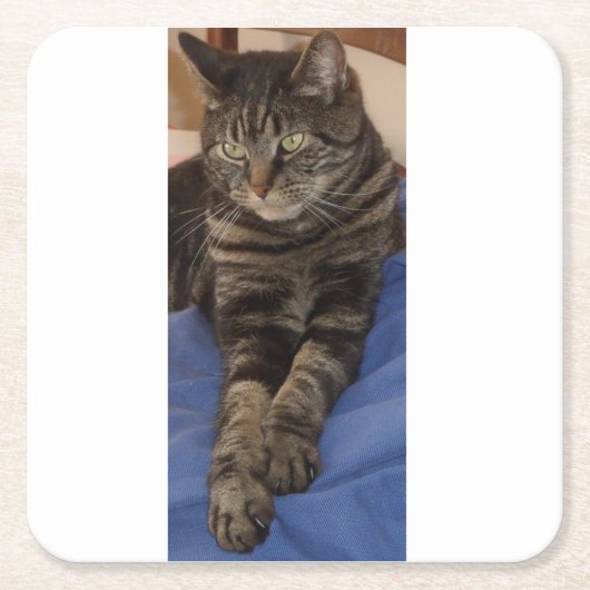 リーガルデイブカスタムコスターズ スクエアペーパーコースター (正面)