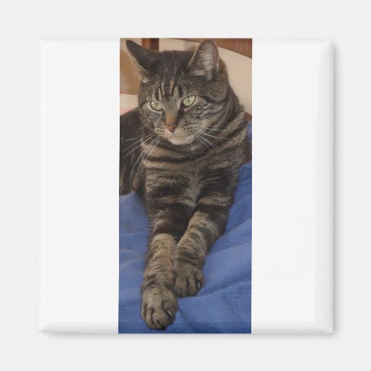 リーガルデイブスクエアマグネット マグネット (正面)