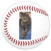 リーガルデイブソフトボール ソフトボール (正面左)