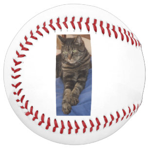 リーガルデイブソフトボール ソフトボール