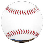 リーガルデイブソフトボール ソフトボール (裏面)