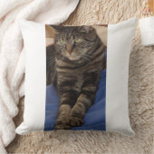 リーガルデイブポリエステルクッション クッション (ブランケット)