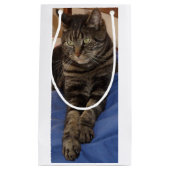 リーガルデイブ抱き枕 スモールペーパーバッグ (正面)