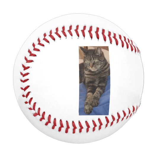 リーガルデイブ野球 野球ボール (正面左)