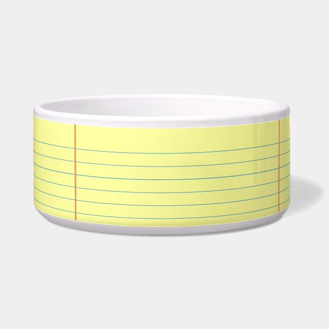 リーガルパッドパターン ボウル (右)
